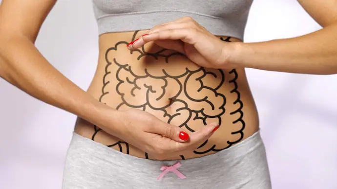 gut